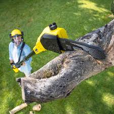 Best Artificial Turf Installation  in Lake Panasoffkee, FL